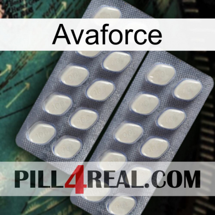 Avaforce 07